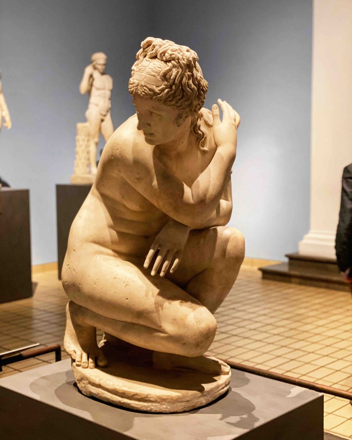 venere
