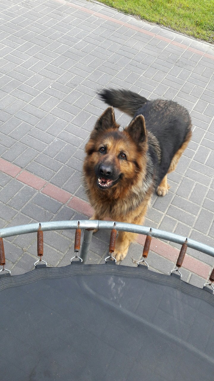 Nadir
