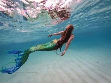 人魚