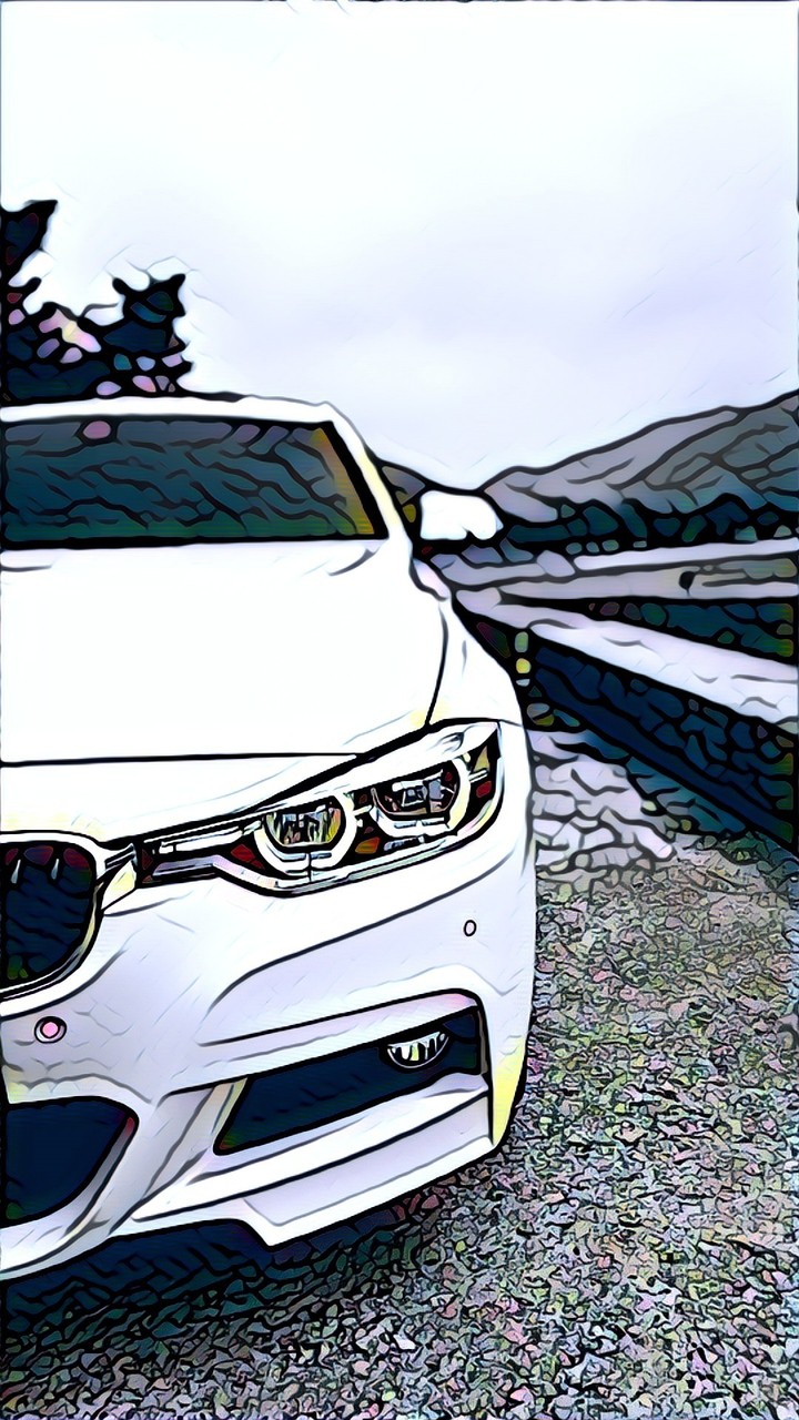 The car