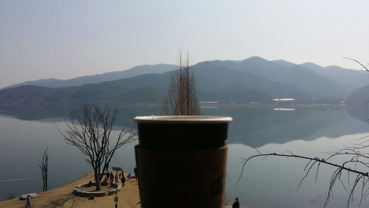 Cup