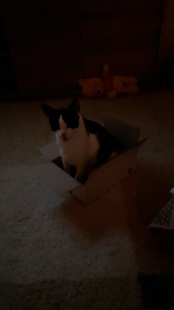 My sweet deliver