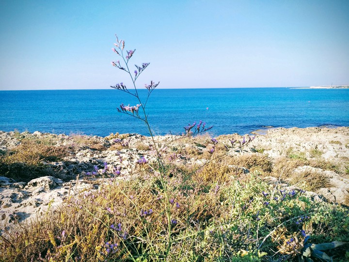 Cyprus