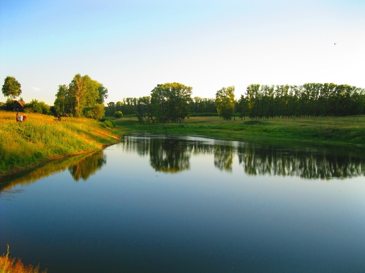 Summer in the village