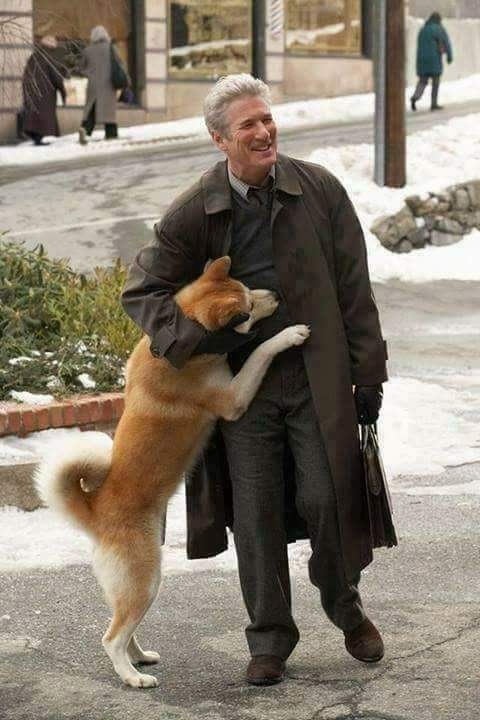 Akita