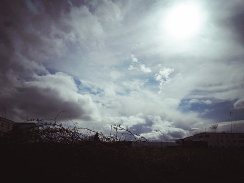 Sky