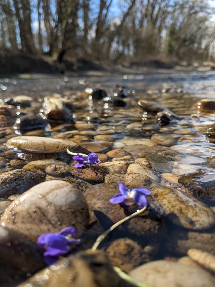 Spring