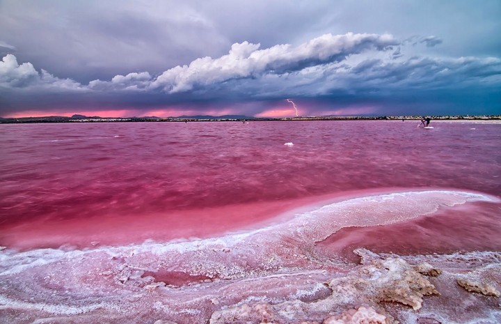 pink sea