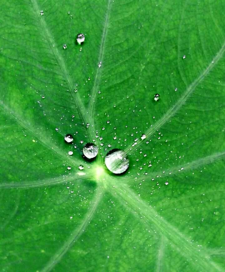 water