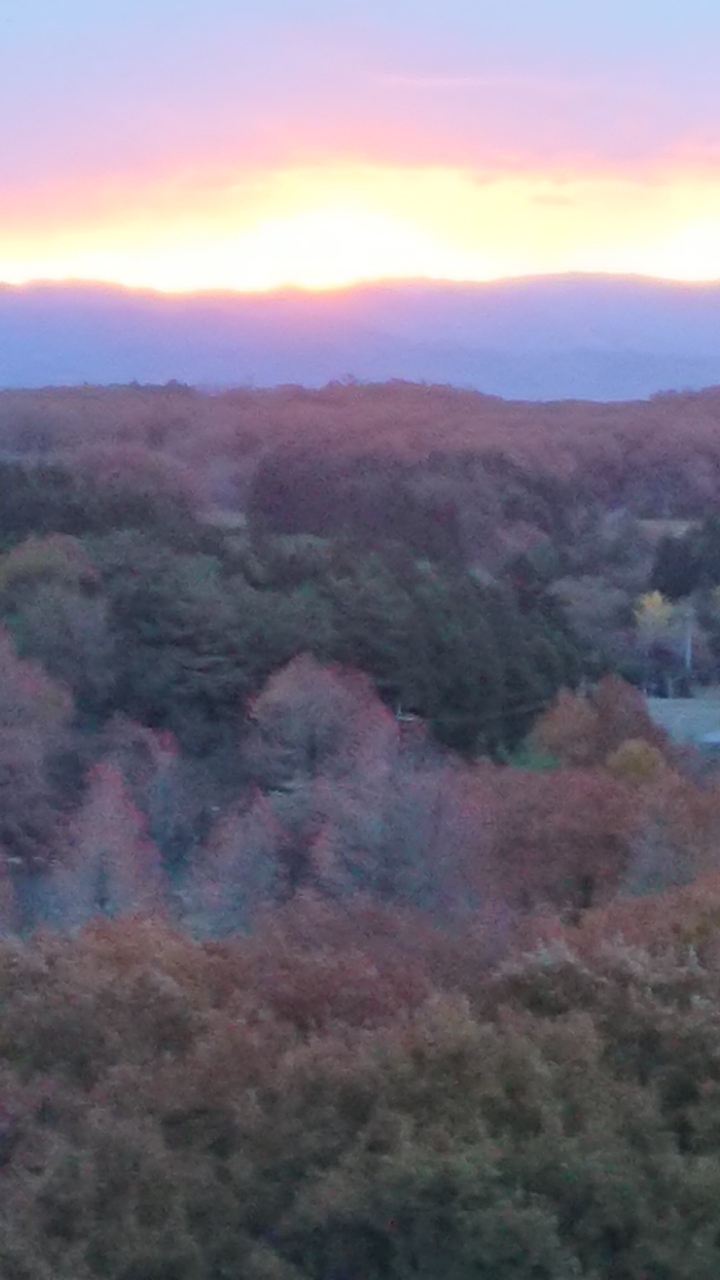 那須