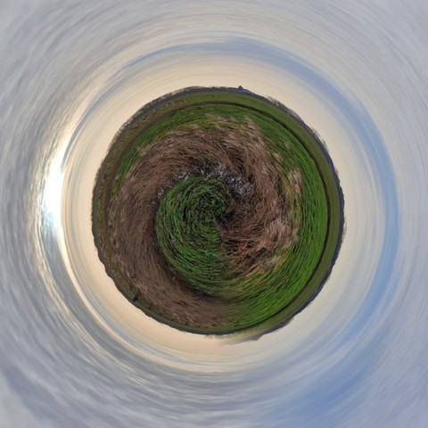spin