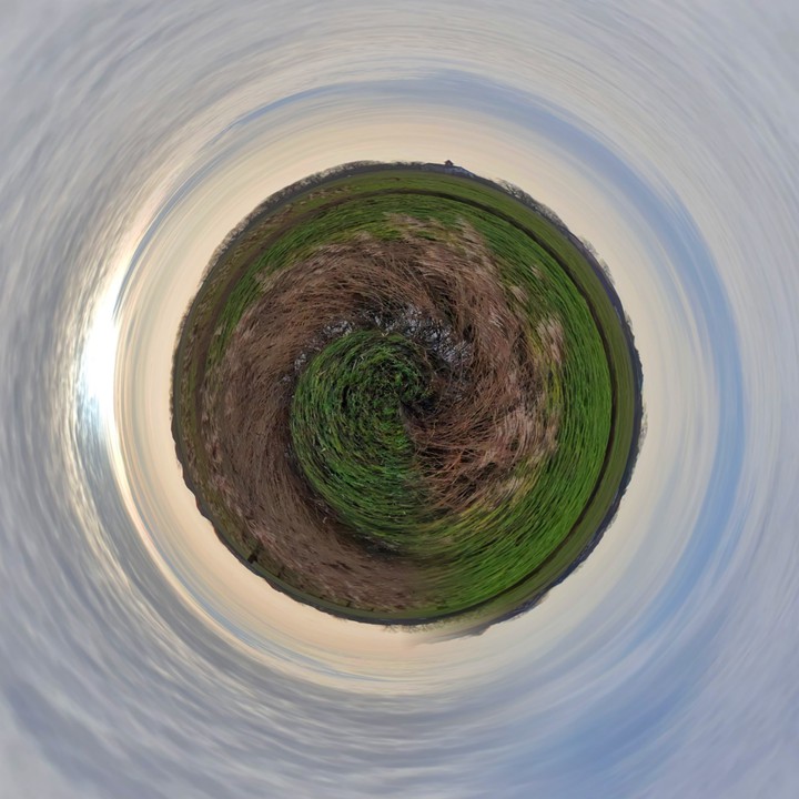 spin
