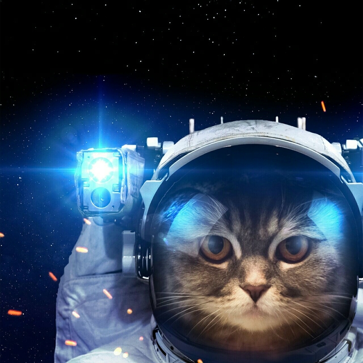 spacecat)