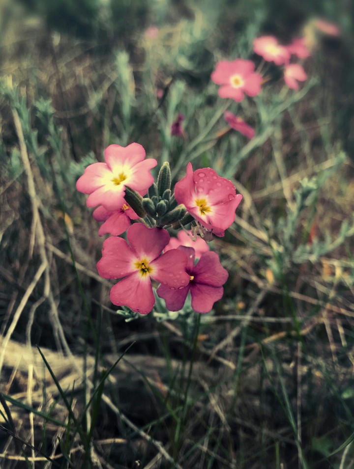 ~