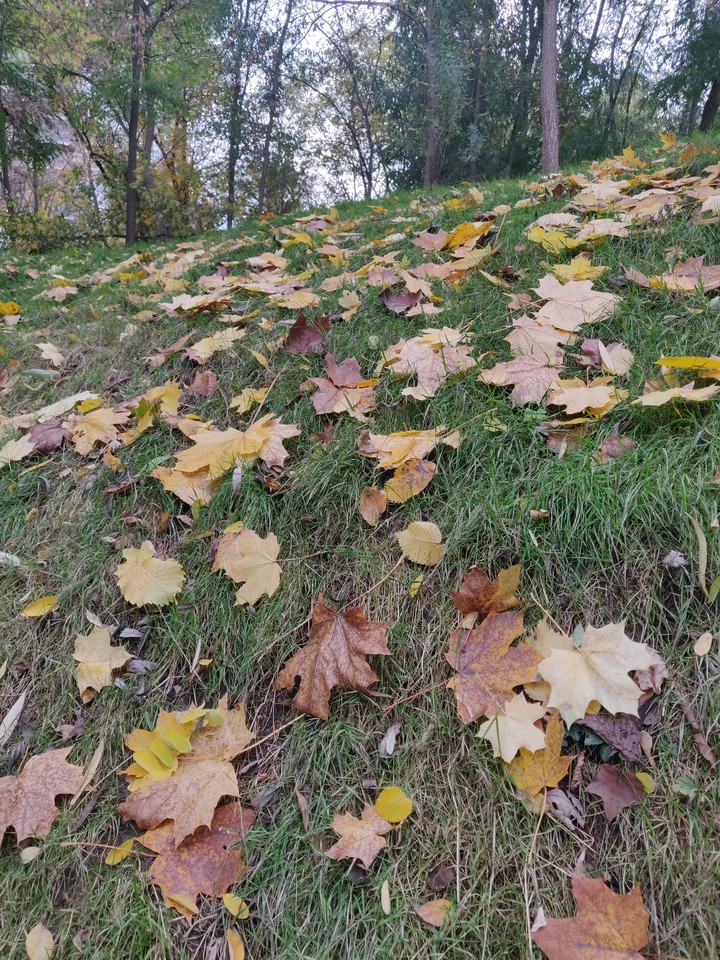 ?
