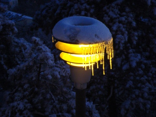winter lights