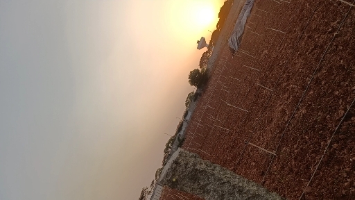 sunset tilt