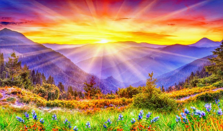nature