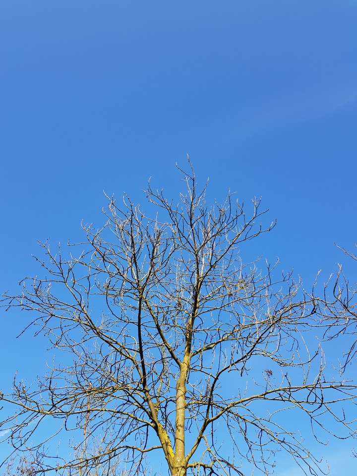 sky