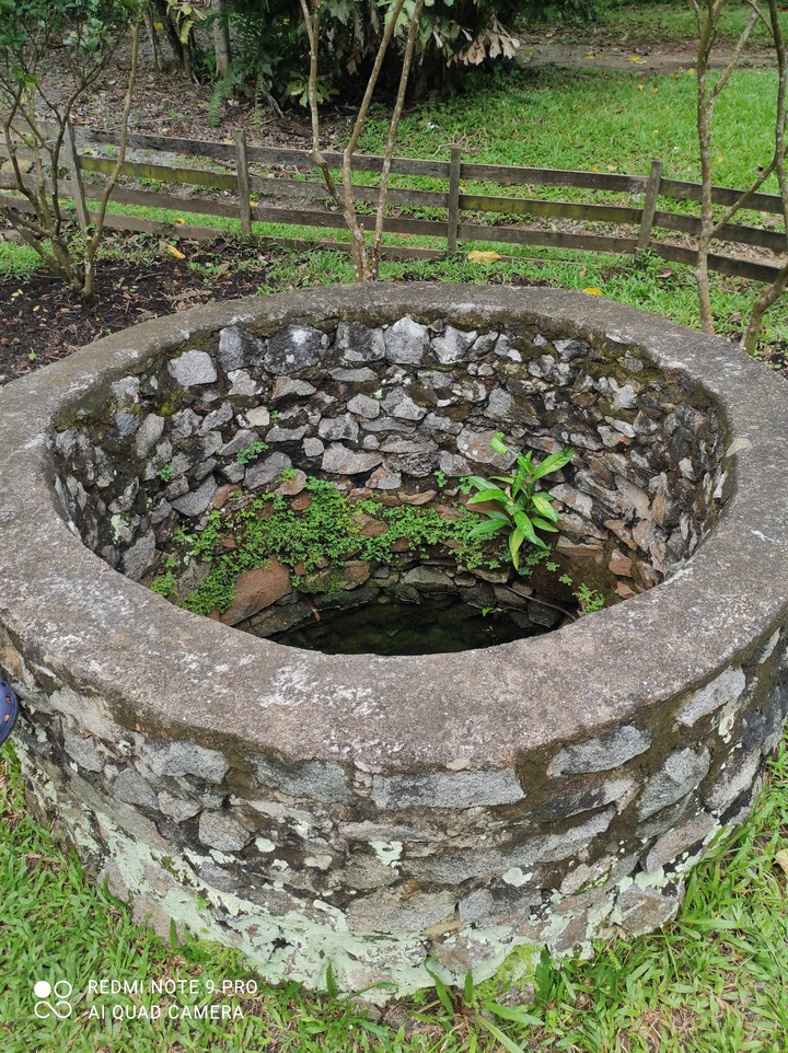 The Well