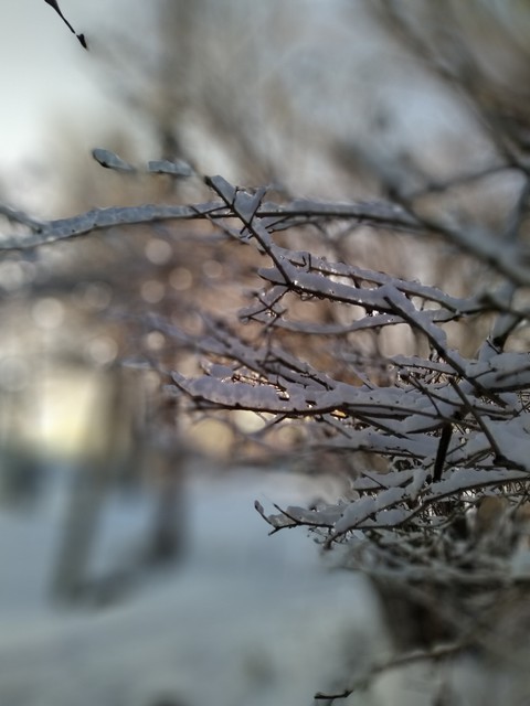 winter