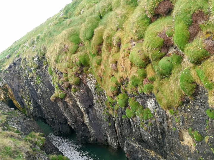 natura