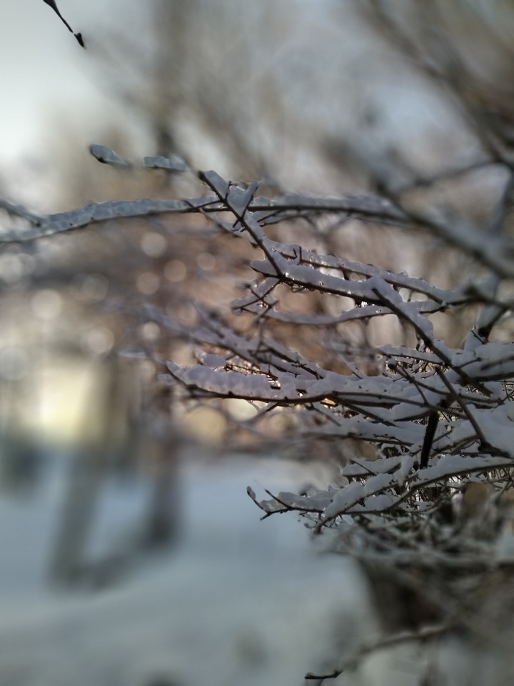 winter