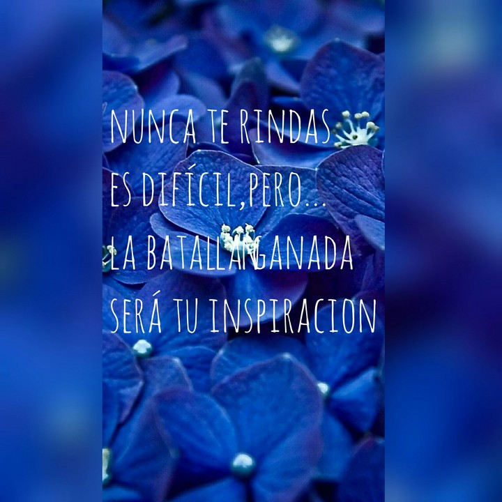 historia de nadia