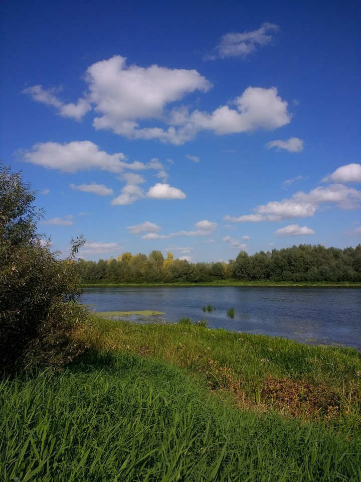 река и облака