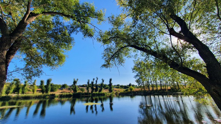 The river Tikhaya Sosna
