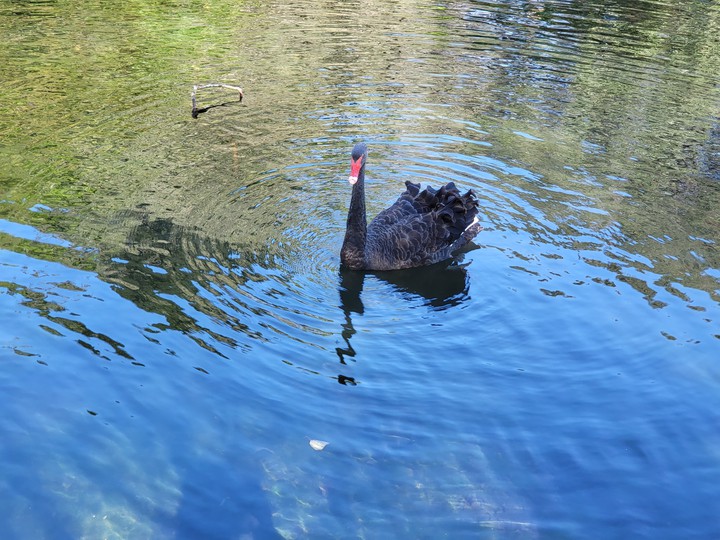 Western Springs Lakeside Park Auckland New Zealand 18/09/21