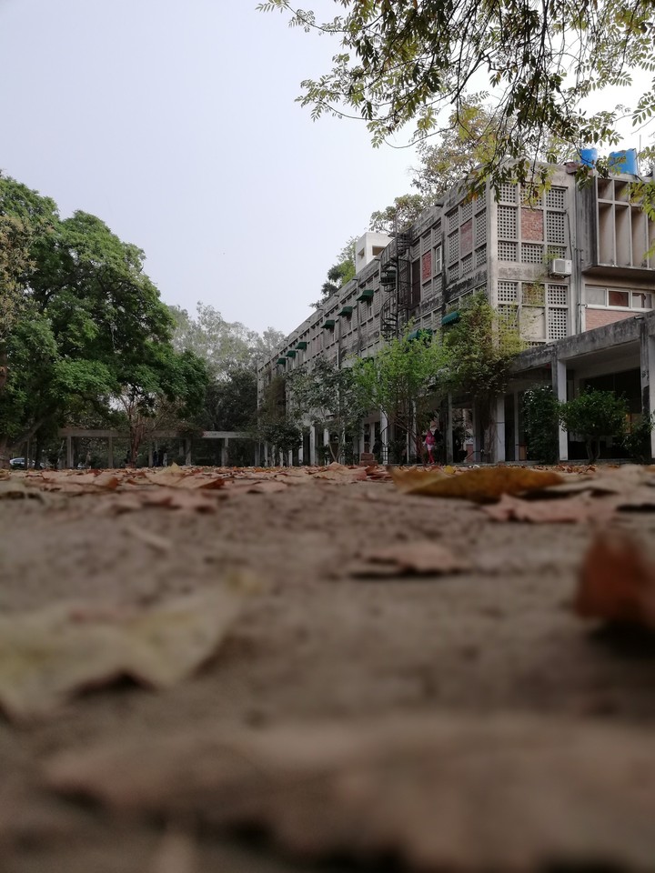Before Rain