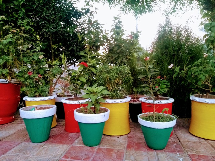colorful pots
