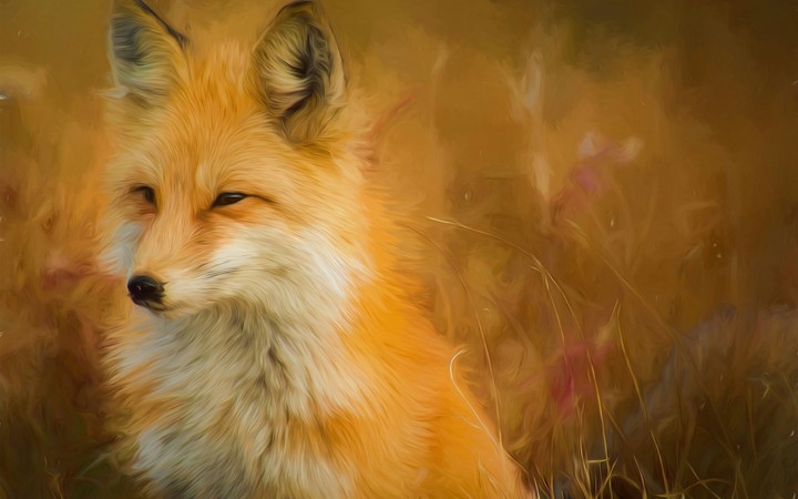 #theFox