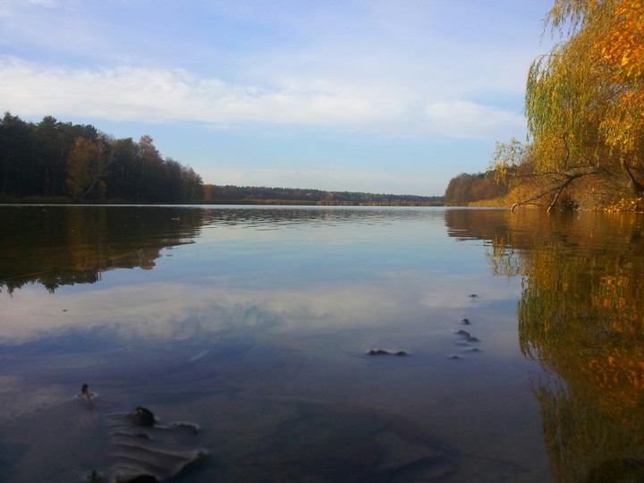 autumn
