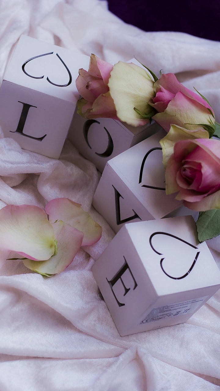 Love cube's