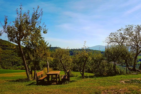 Ginepro Emilia-Romagna