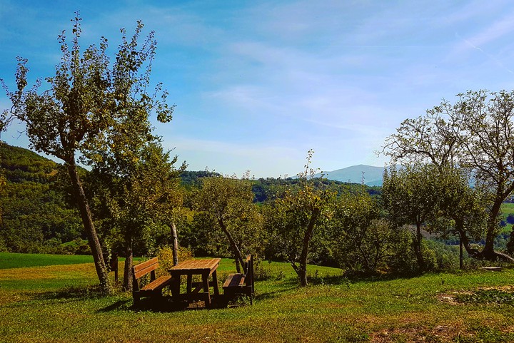 Ginepro Emilia-Romagna