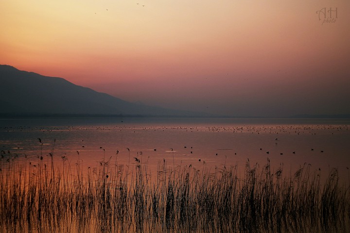 Sapanca...