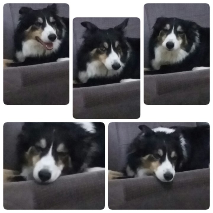 minha Lola