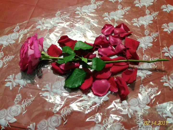 Valentine special