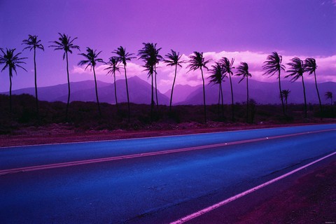 ταπετσαρίες themountains, palmtrees