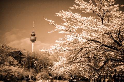 infrared photography