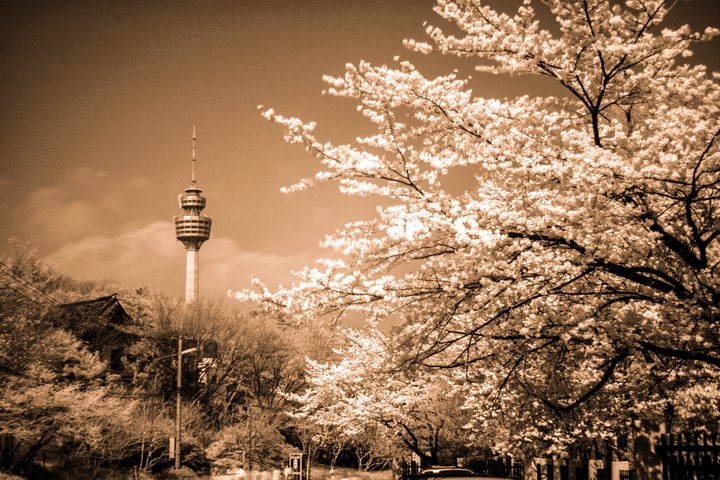 infrared photography