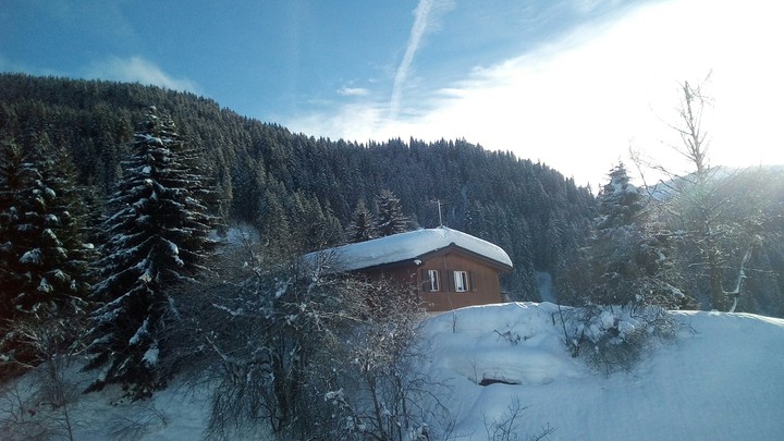Snow landscape