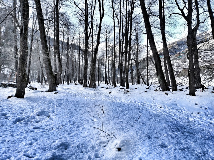 Snow