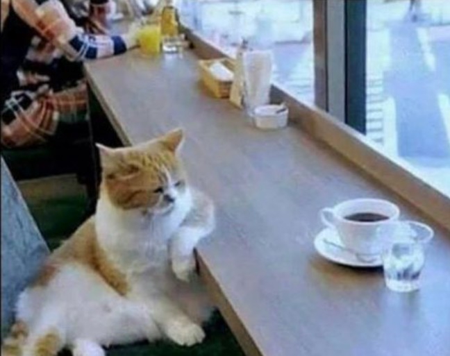.