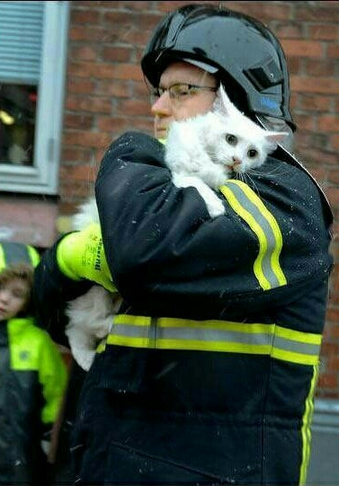 Real humanity