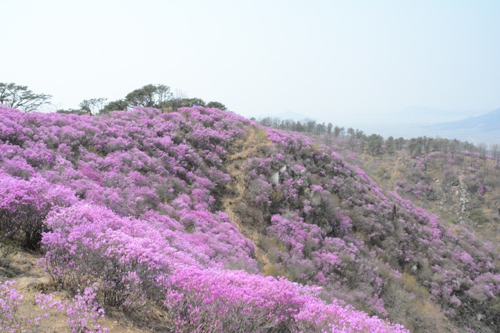 풍경이미지