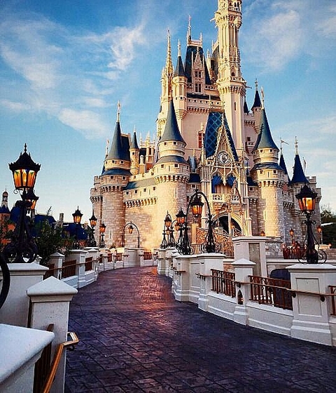 Walt Disney world